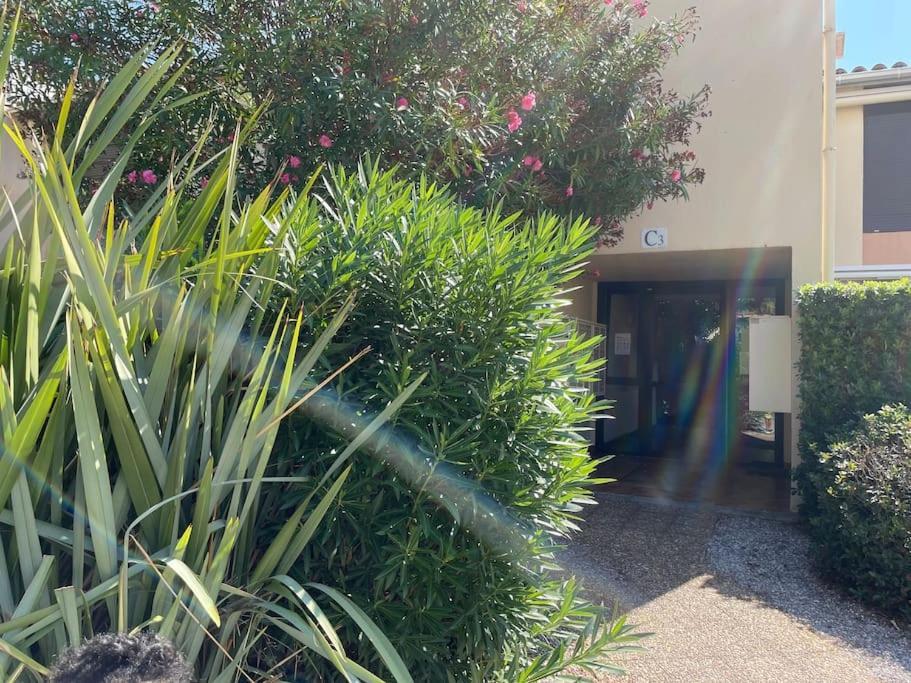 Avec Parking Proche De La Apartment Argeles-sur-Mer